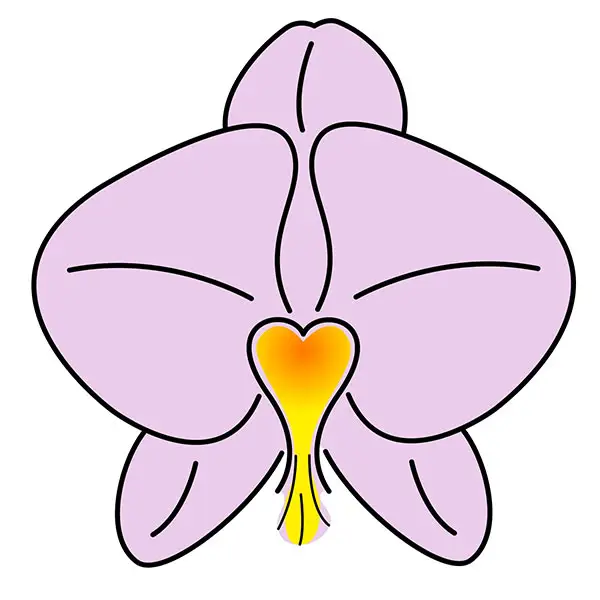 orchid artwork