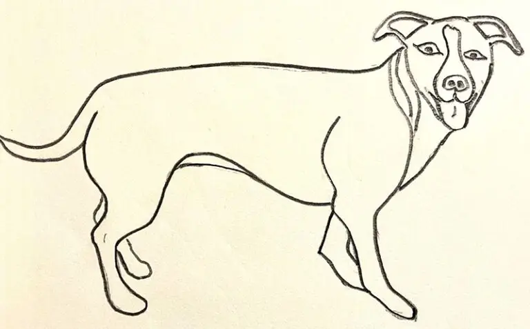 sketch of a dog