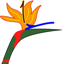 flower illustration