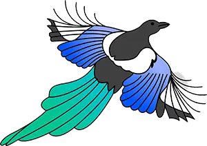 bird illustration