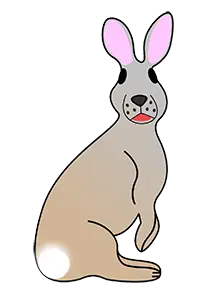 bunny illustration