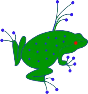 frog illustration