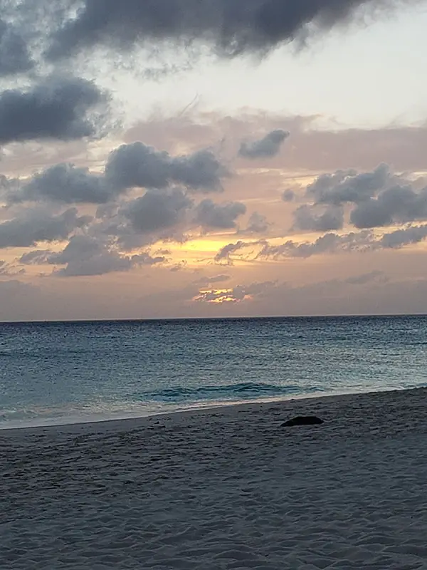 a beach sunset