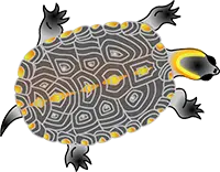 a turtle